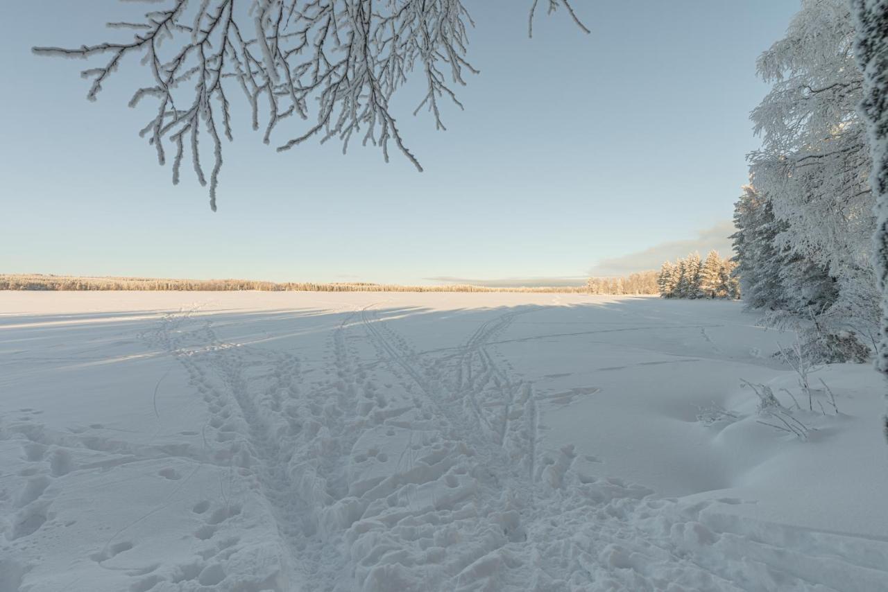 Laehderinne - 2 Bedroom Log Cabin, Private Beach, Wifi & Sauna Puolanka Екстер'єр фото